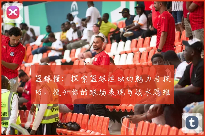 篮球懂：探索篮球运动的魅力与技巧，提升你的球场表现与战术思维