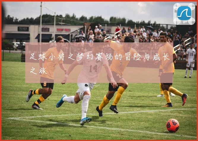 足球小将之梦幻赛场的冒险与成长之旅