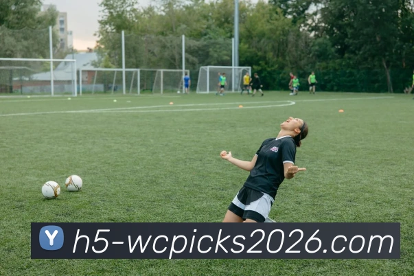 一览平台生态图